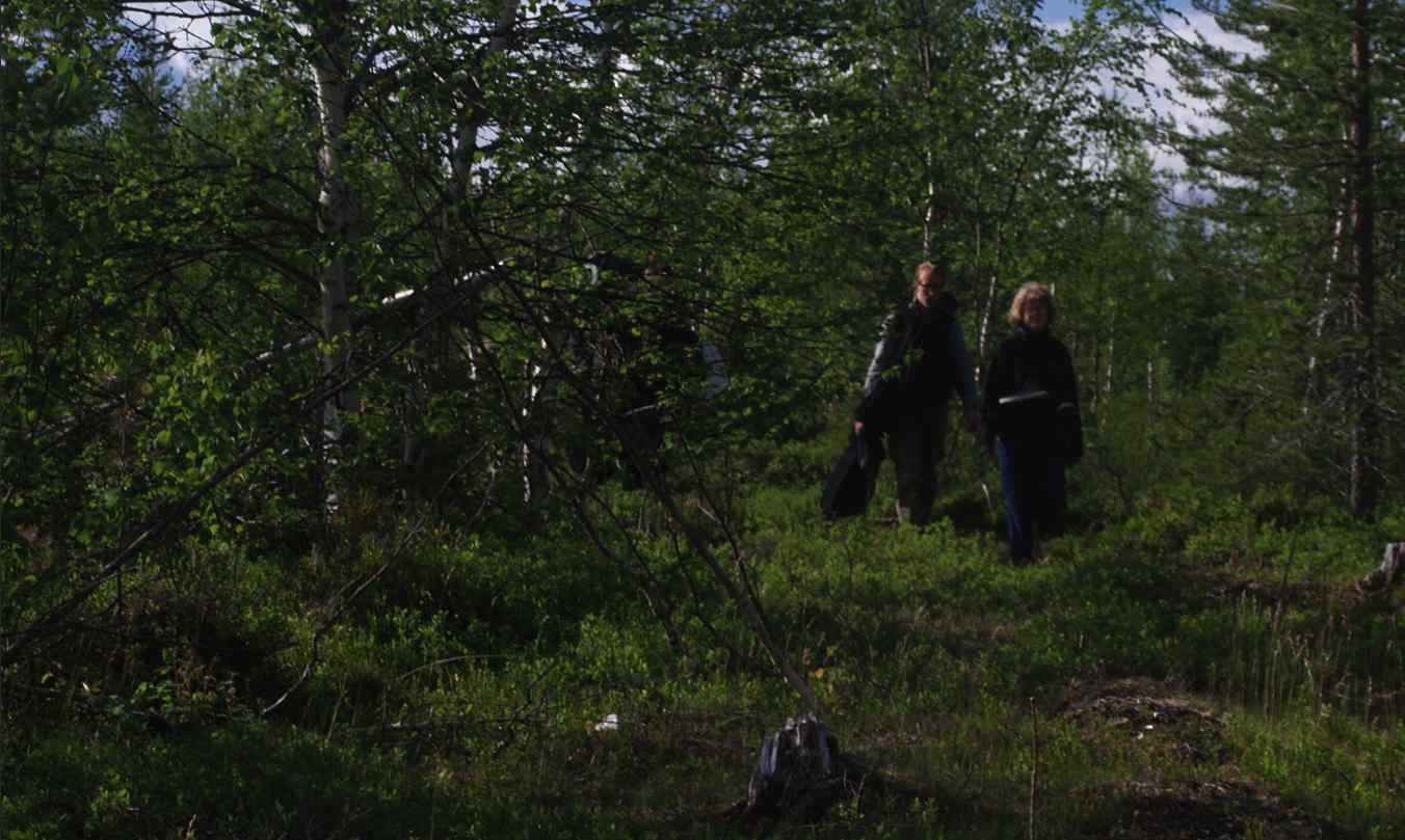 På vandring till Kallak